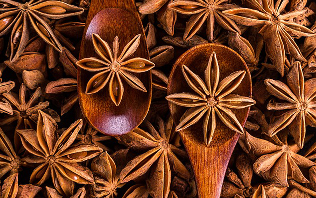 Star Anise - Complete Information Including Health Benefits, Selection